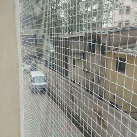 Commercial Pest Control
